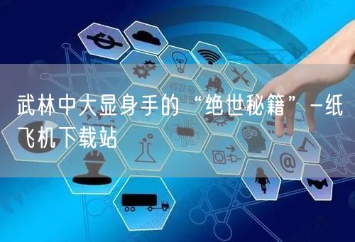 武林中大显身手的“绝世秘籍”-纸飞机下载站