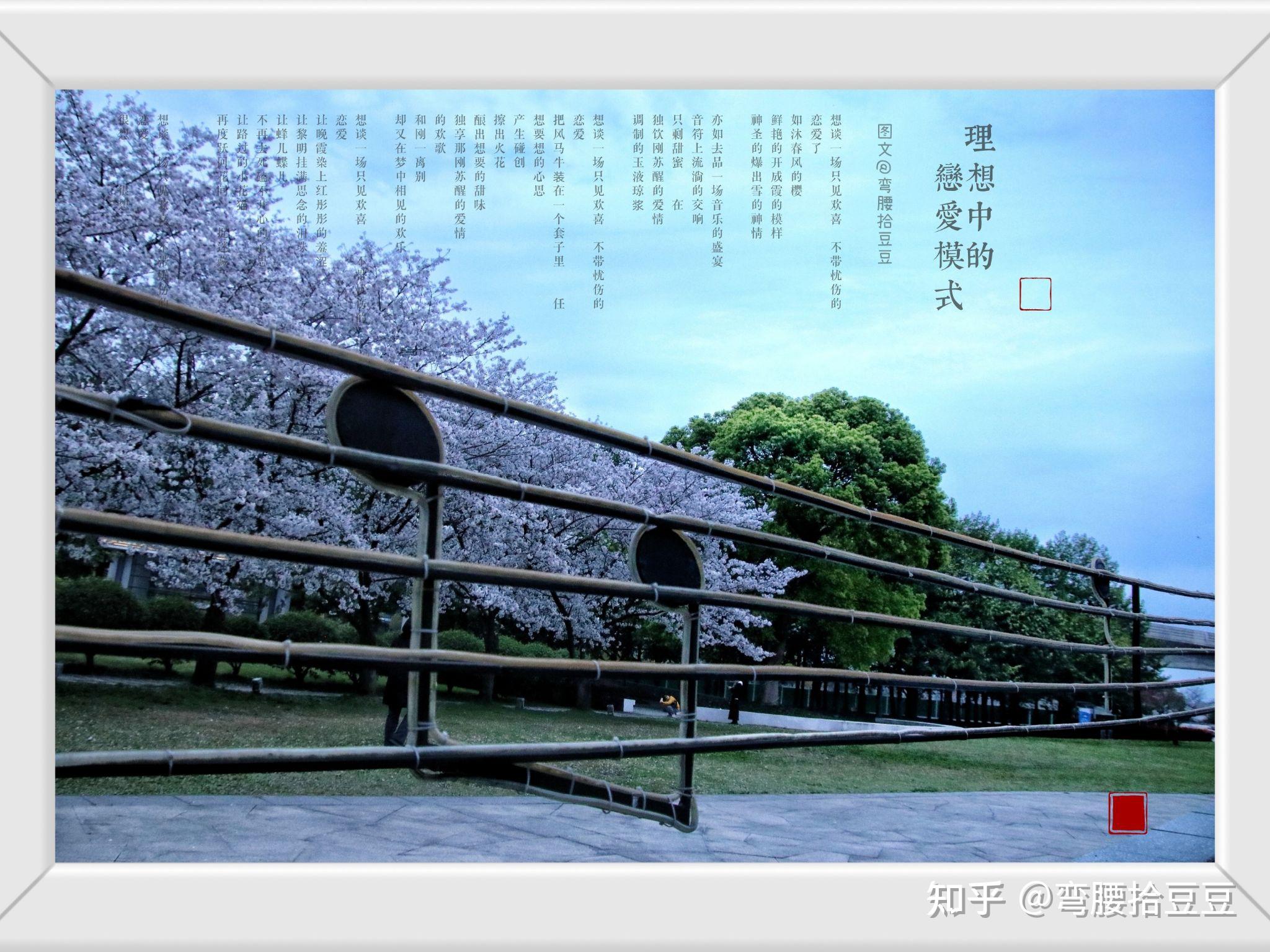 11月3日是什么日子-11 月 3 日：欢乐与忧伤交织，团聚与怀念并存的特殊日子