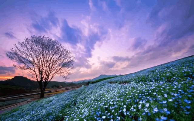 菲拉格慕_菲拉格慕男包_菲拉