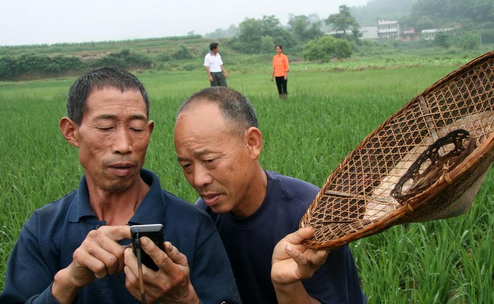 适合在农村玩的小游戏_农村玩手机游戏_农村玩的游戏