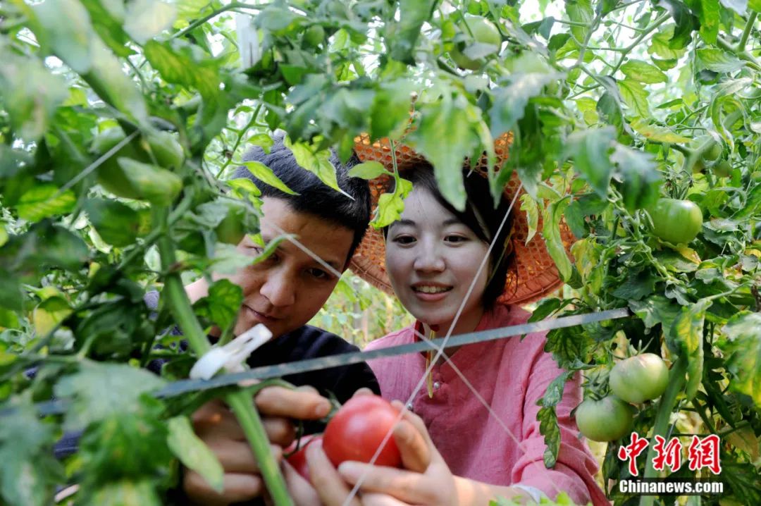 荀粲三国杀_荀粲妻子_荀粲