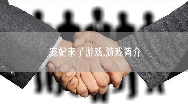 宠妃来了游戏,游戏简介
