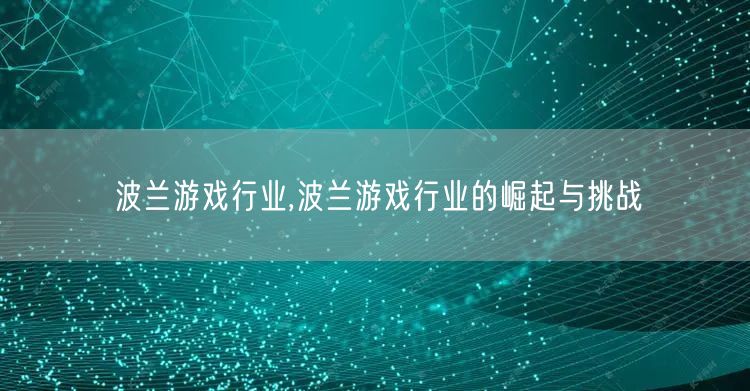 波兰游戏行业,波兰游戏行业的崛起与挑战