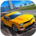 特技汽车驾驶模拟(CarDrivingSimulator) 特技汽车驾驶模拟(CarDrivingSimulator)