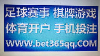 桥牌游戏app安卓苹果,尽享智能桥牌乐趣