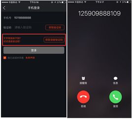 大视界tv免密码安卓版下载 