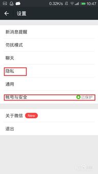 密聊猫聊天软件官网版 
