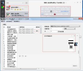 hobbystocks集卡商城app安卓版下载2024最新 