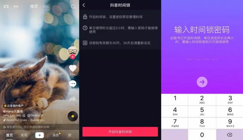 彩虹上的奔跑者 