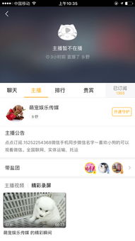 狗狗的使命 