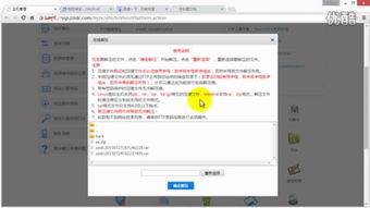 怎么样才能不当社畜:妻子的故事 