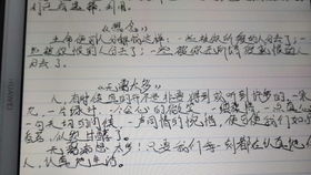 Notes手写笔记 