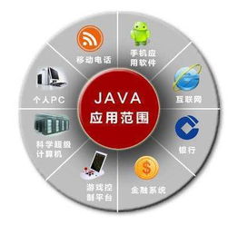 全脑开发专注力训练 