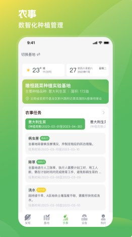 蛋里有什么 