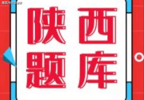 机场安全员模拟器 