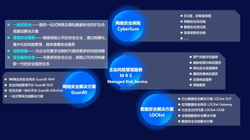 APP软件网络安全风险管理