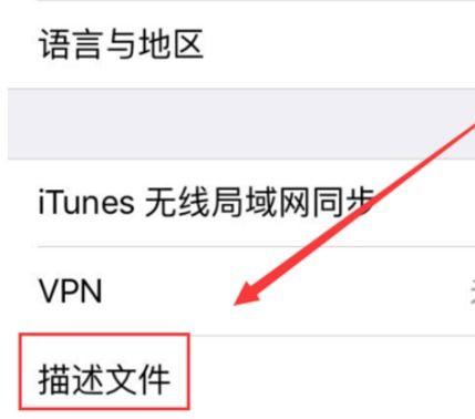 大字体设置 