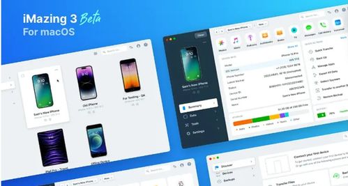 LuckyBags软件2024官方版手机下载安装apk 