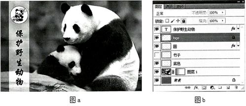 交通安全云课堂 