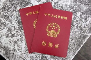 诗片安卓版下载 
