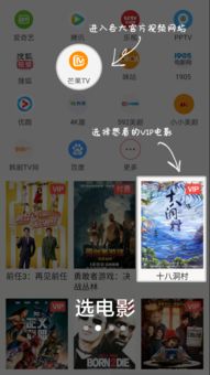 小龙软件库 