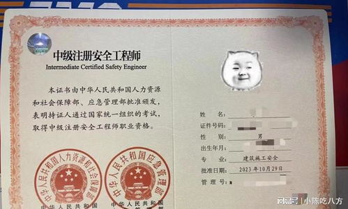 企业安全培训软件下载 