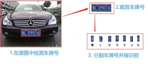 智能人脸测试软件下载 