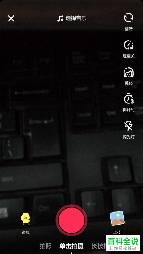 欢乐有鱼记账本 