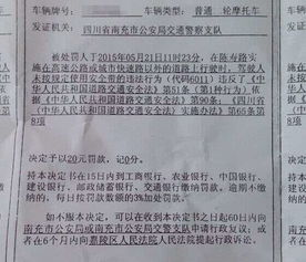 你叫什么鸭 