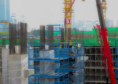 什么什么里奥冒险 