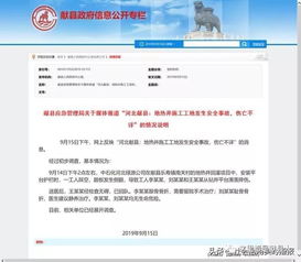 汽车事故模拟器 