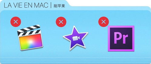 你够聪明吗安卓版免费下载安装 