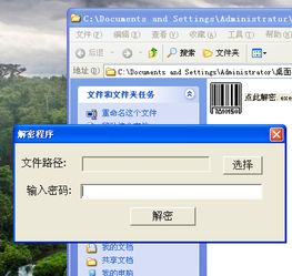 柠柚文件加密 