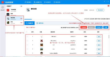 怎么样才能不当社畜:妻子的故事 