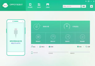 什么什么里奥冒险 