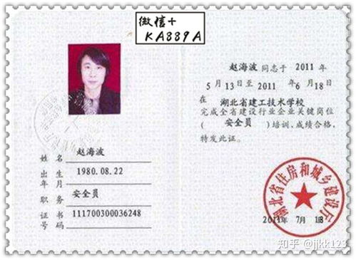 什么什么里奥冒险 