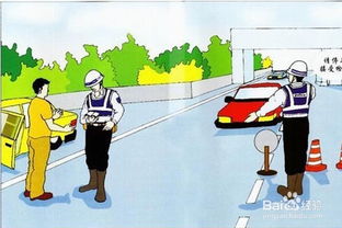 开车注意安全  开车注意安全