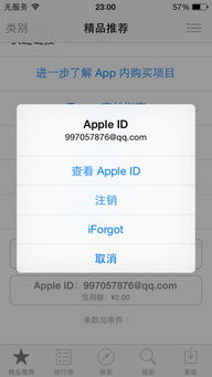 白描下载软件安装  白描下载软件安装