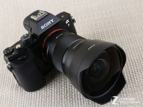 王者秒换装软件2021 